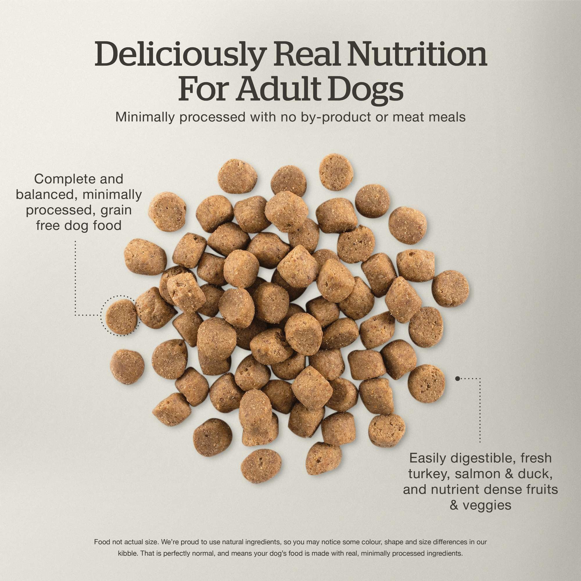 Now Fresh digestive health features probiotics and fiber-rich ingredients for steady digestion.