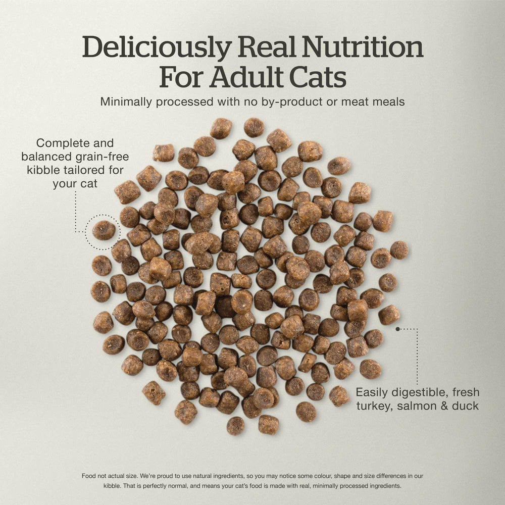 Now Fresh probiotics with pumpkin and sweet potato aids digestion and easy stool quality.