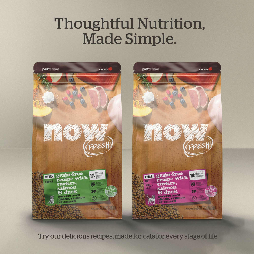Now Fresh Senior kibble texture shown, grain-free formula for daily meals