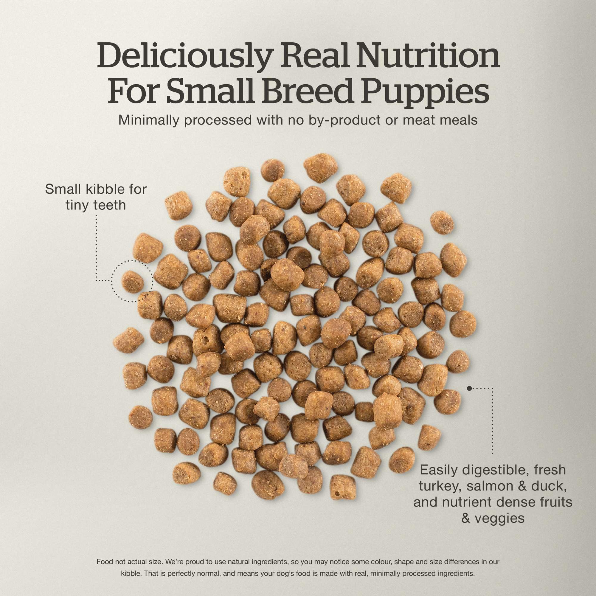 Now Fresh small-breed kibble size closeup for easy chewing.