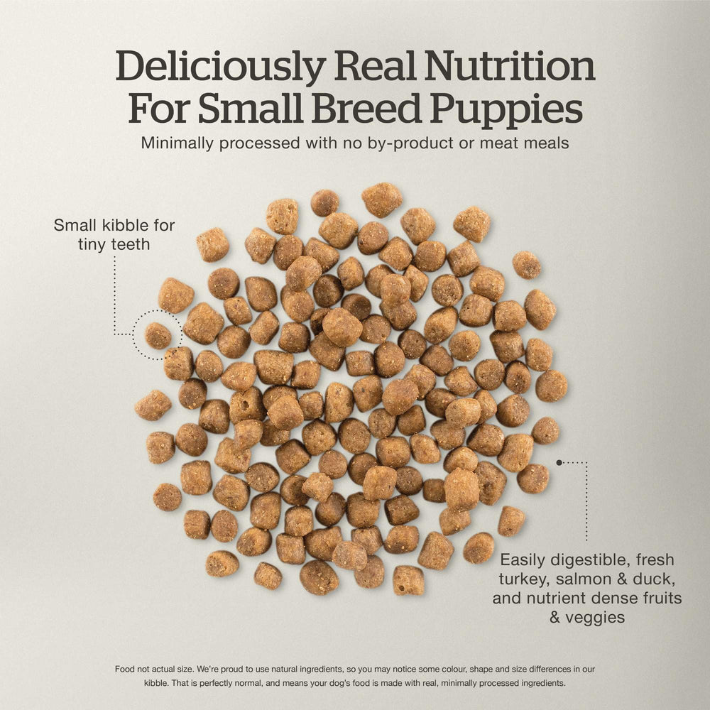 Now Fresh small-breed kibble size closeup for easy chewing.