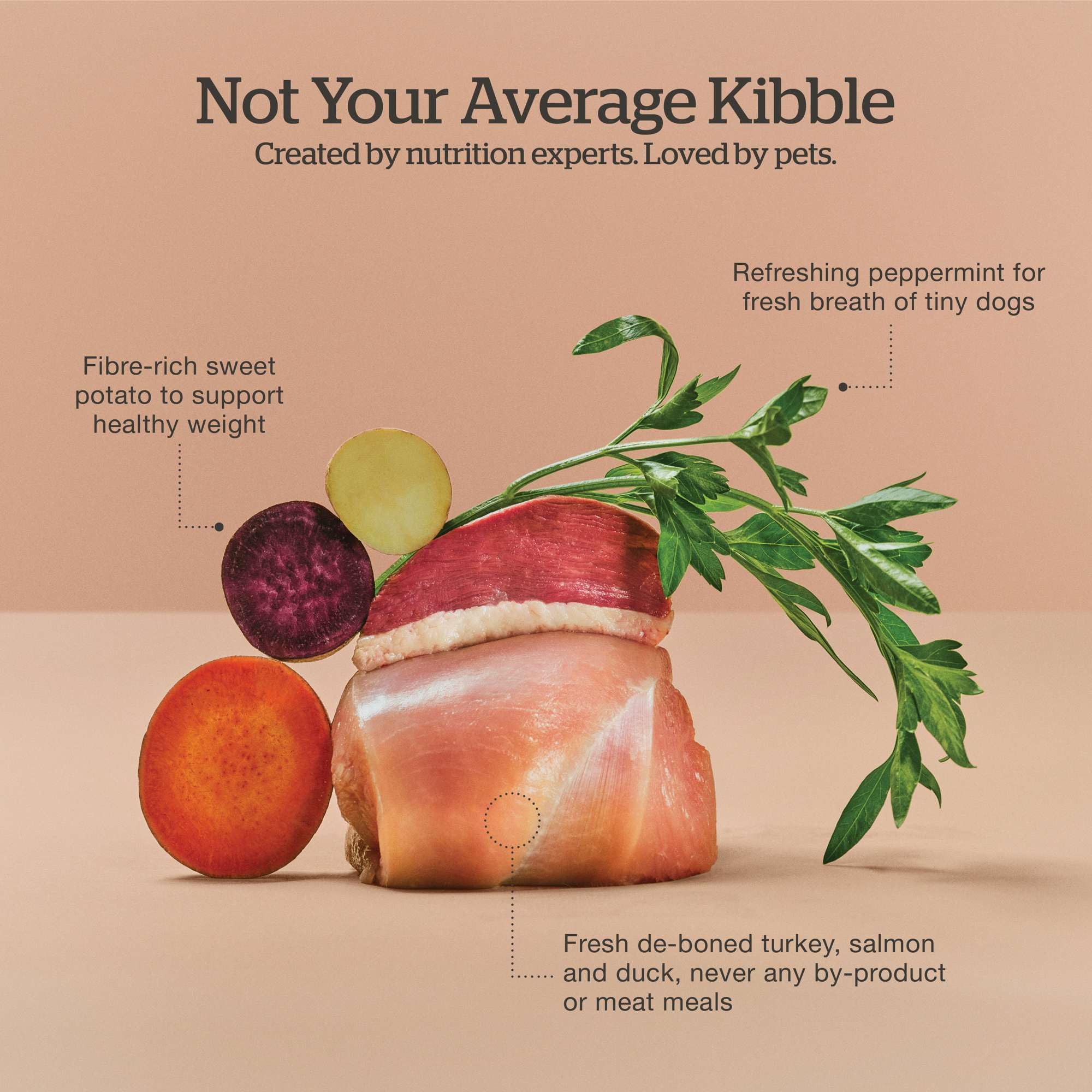 Now Fresh small-breed kibble close-up highlighting real meat ingredients.