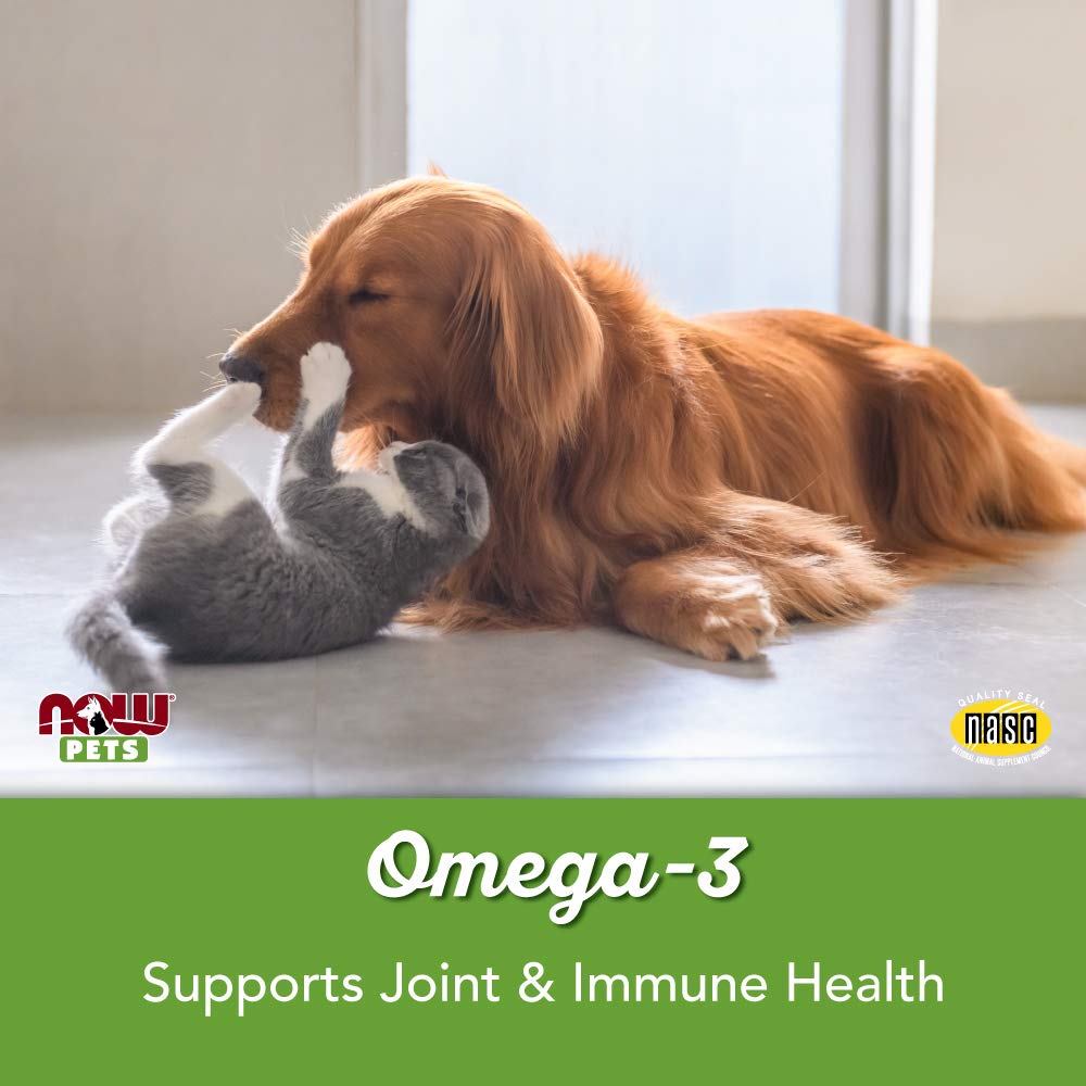 NOW Pets Omega-3 bottle with label ready for daily use