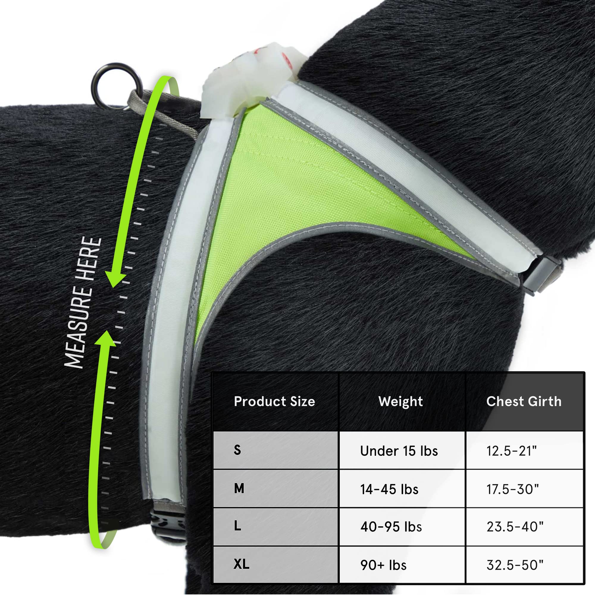 Noxgear LightHound 360-degree illumination plus 3M Scotchlite reflectivity keeps dogs visible from afar