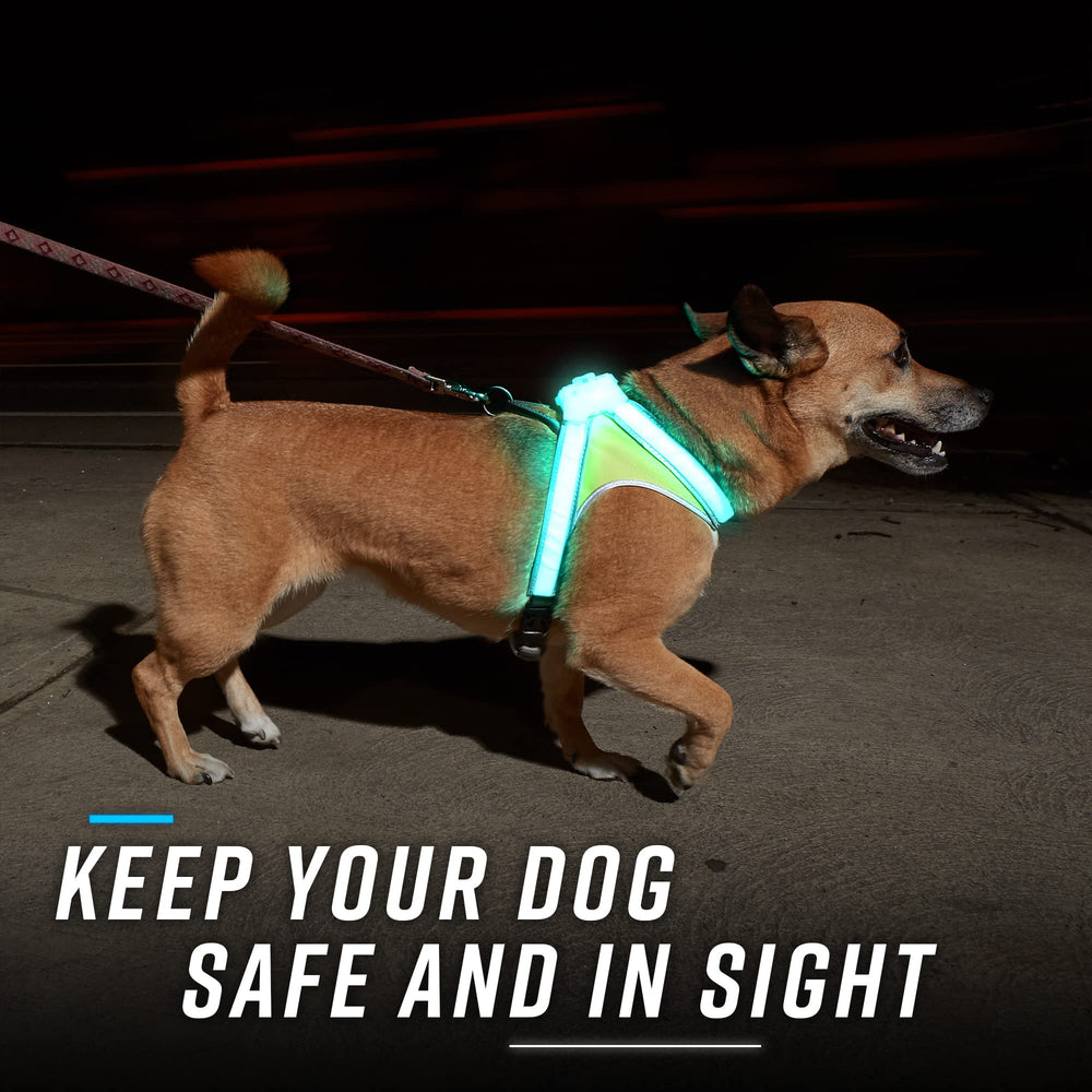 Noxgear LightHound adjustable neck and chest ensure snug fit