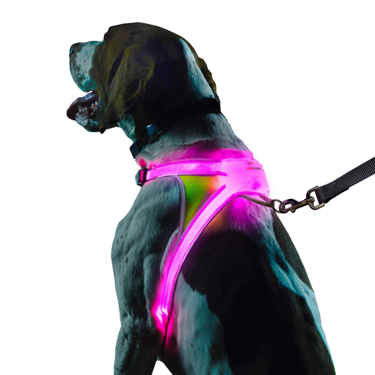 Noxgear LightHound LED fiber optics harness for high-visibility during evening walks