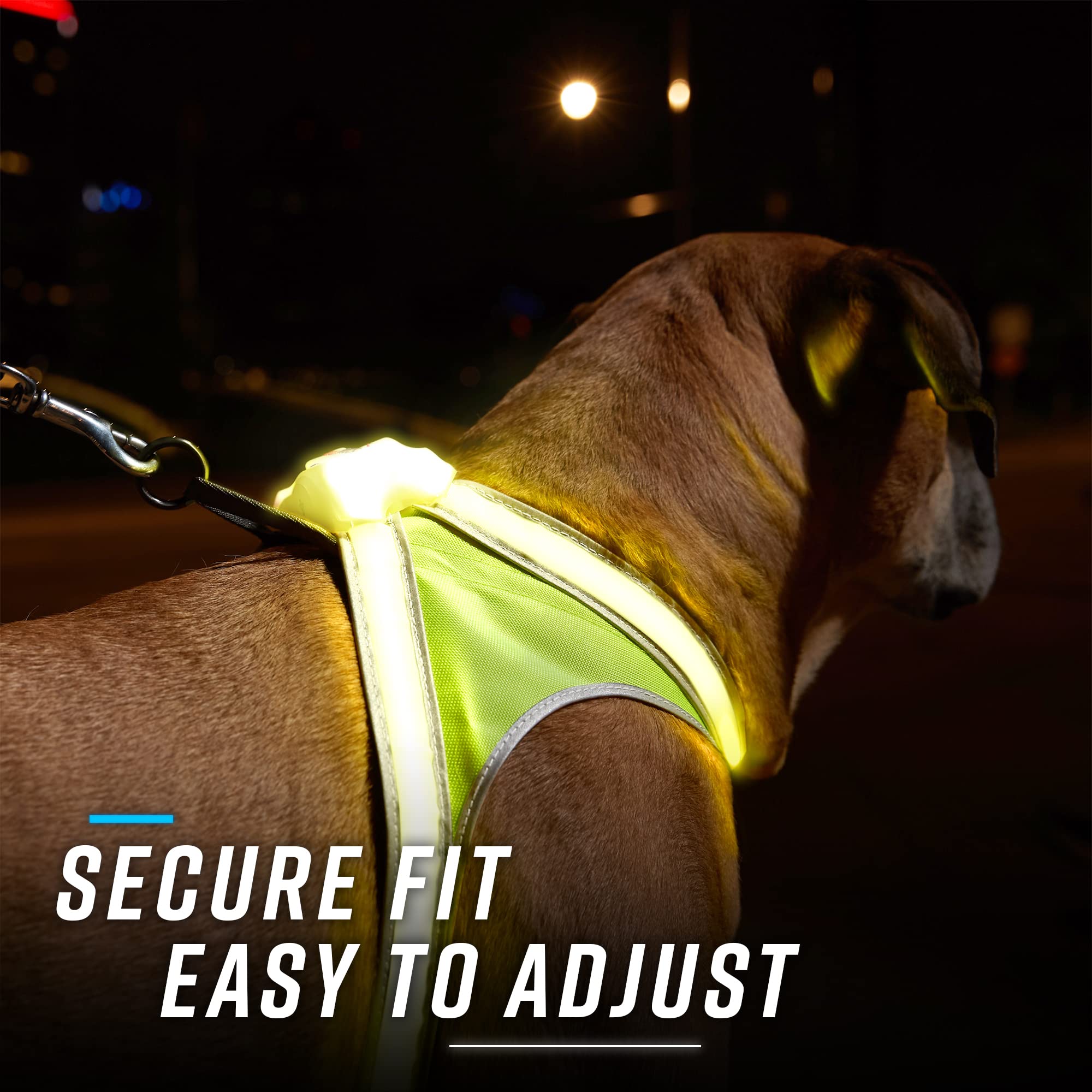 Noxgear LightHound multicolor modes create eye-catching signals at night