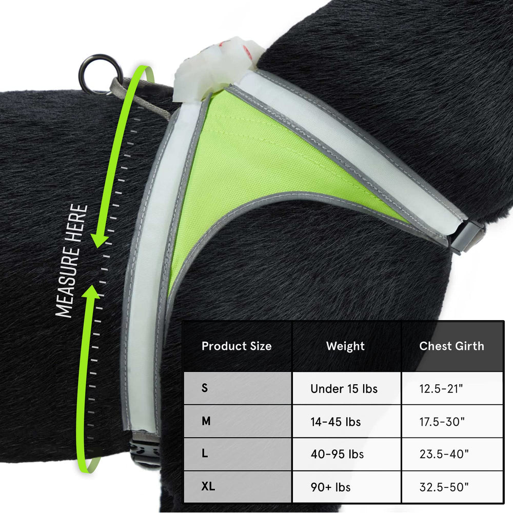 LightHound with multicolor modes offers eye-catching signals for evening outings.