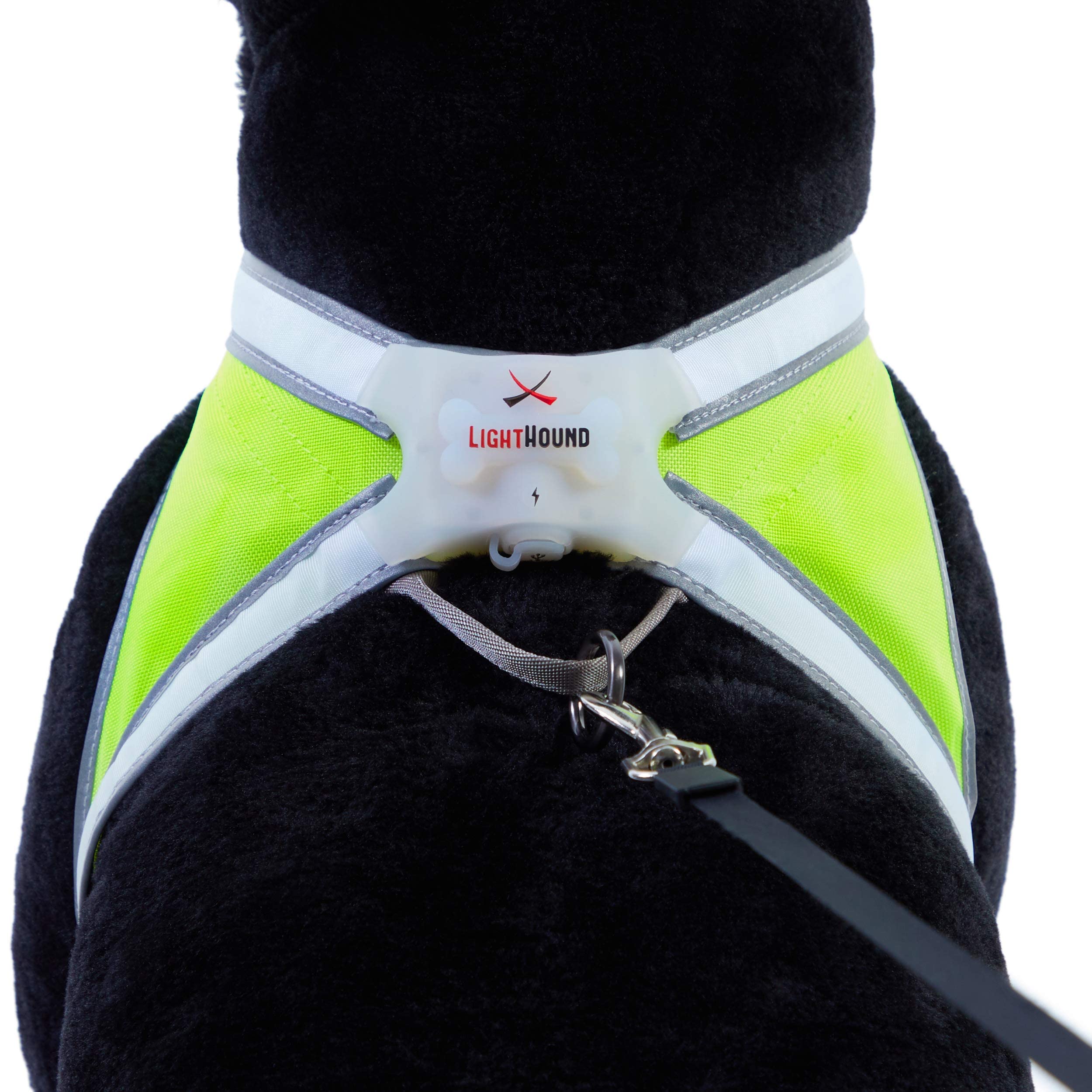 Noxgear LightHound machine washable ready for muddy park days