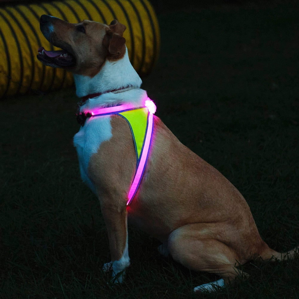 Noxgear LightHound water-resistant fabric endures rain during outdoor adventures