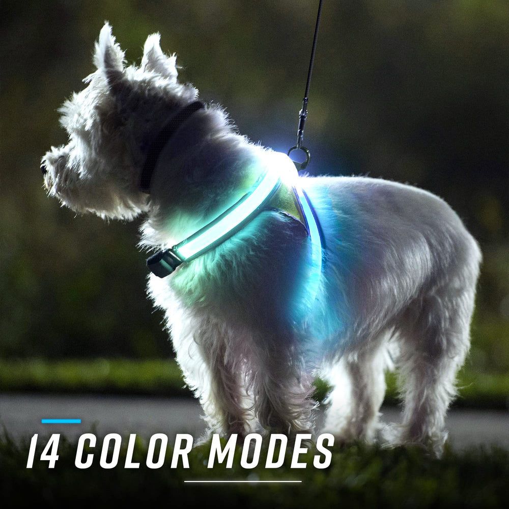Noxgear LightHound quickly clips over collars without interfering with leashes