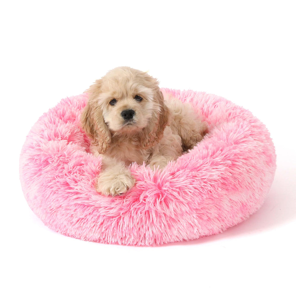 NOYAL Calming Donut Bed in a cozy corner inviting curling up.