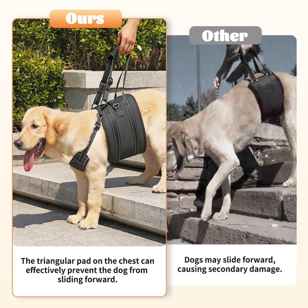 NOYAL dog lift harness post-surgery rehab supports safer assisted movement