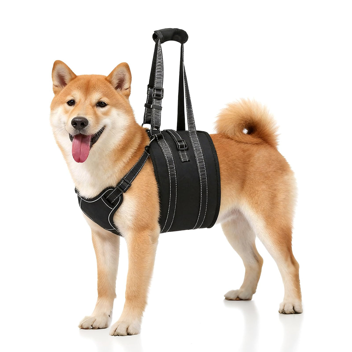 NOYAL Dog Lift Harness rear leg support helps stairs and car transfers for mobility.