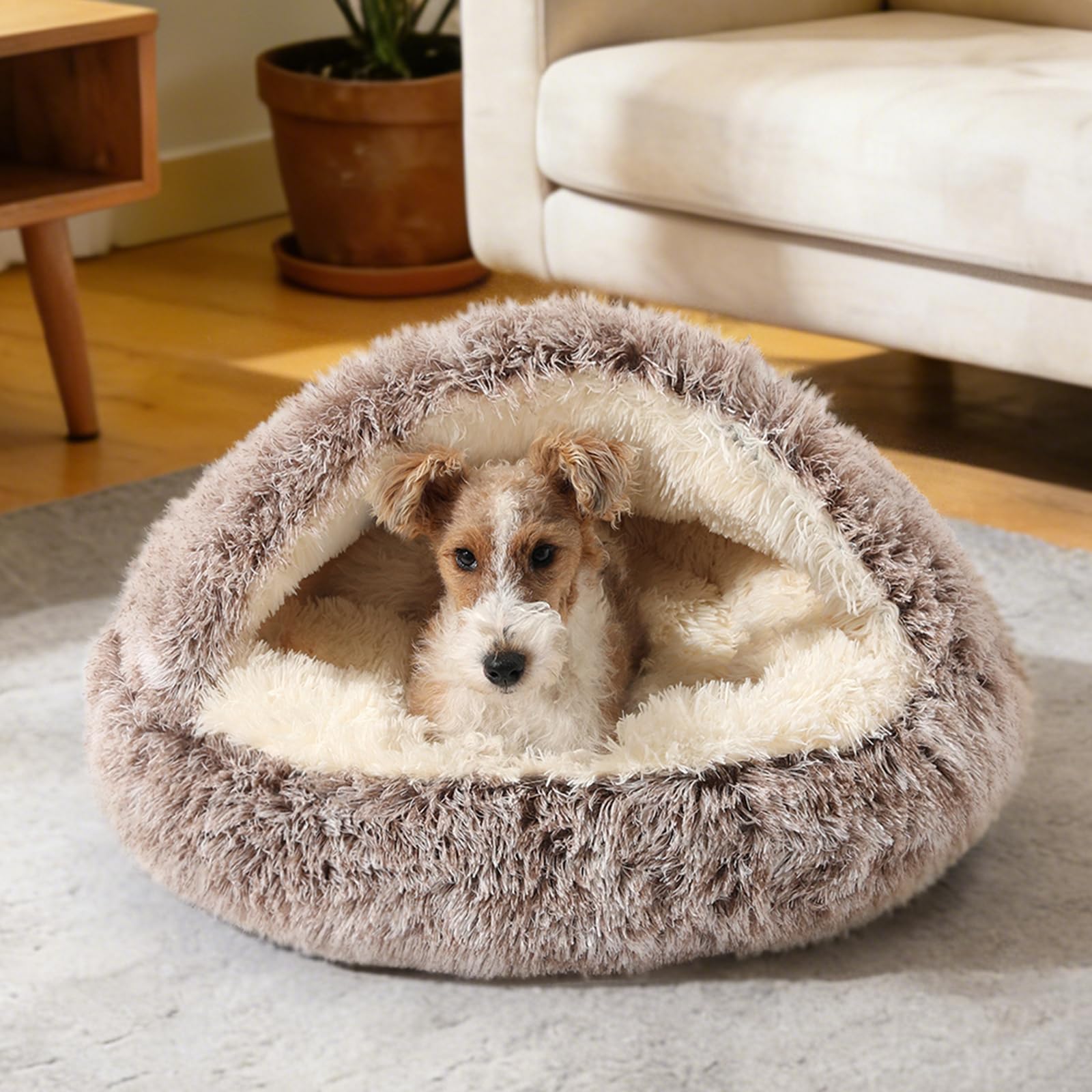 NOYAL bed size options for pets 8–40 lbs.