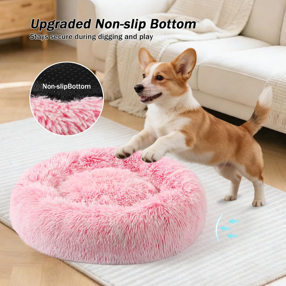 NOYAL bed demonstrates waterproof non-slip base to protect floors.