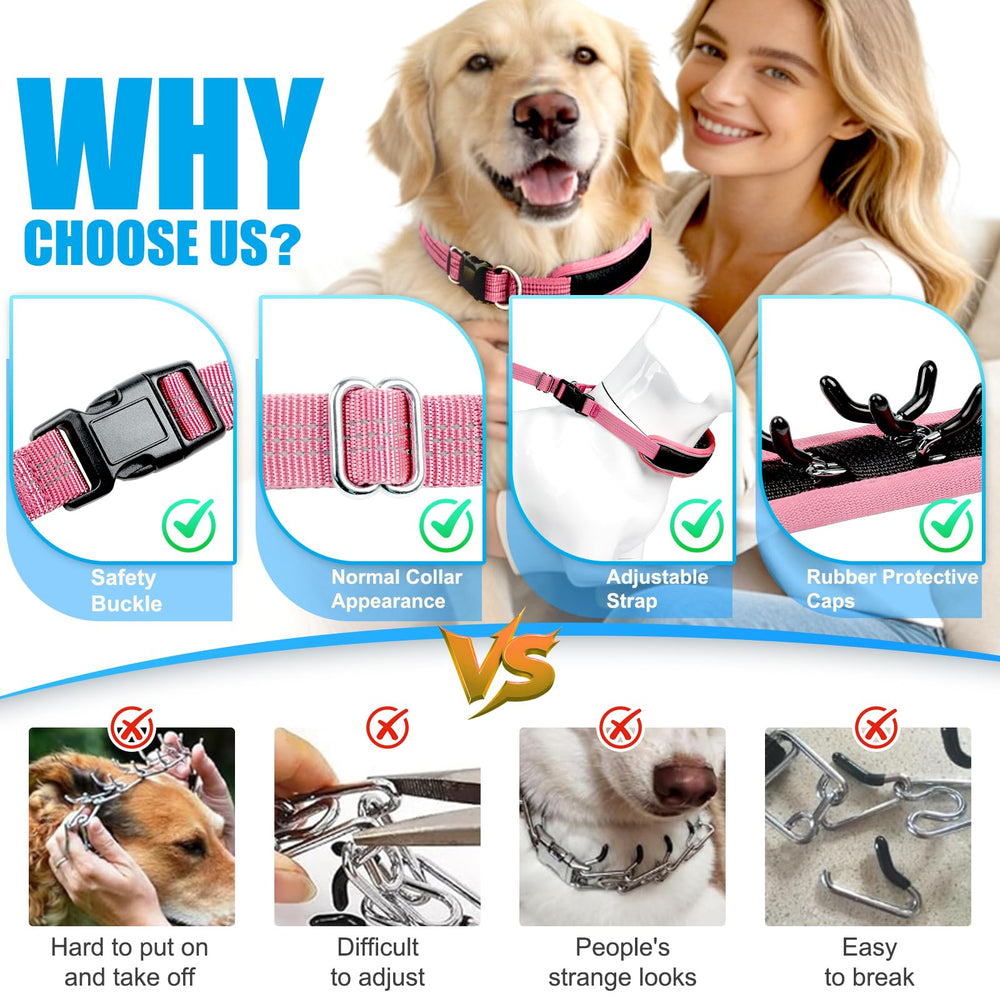 NozlaID breathable air grid collar keeps the dog's neck cool during active outings.
