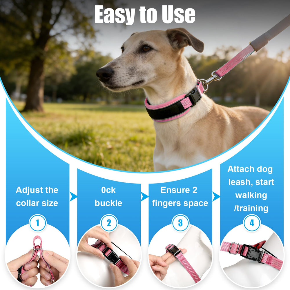 Nozlaid all-weather durable dog collar resists rain and dirt.
