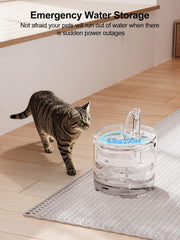 NPET WF050TP transparent water tank lets you see water level at a glance