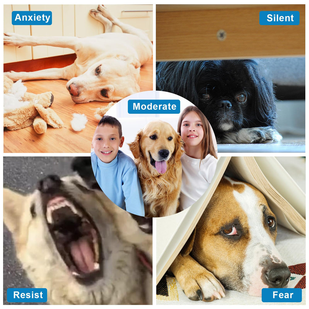 NQEUEPN indoor-outdoor use suitable for homes with pets