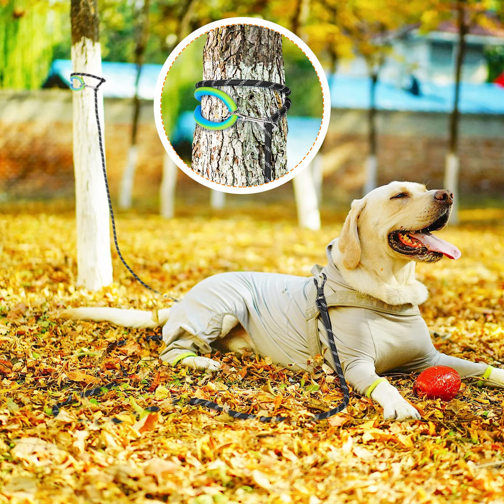 NTR long leash with reflective thread for better visibility at night.