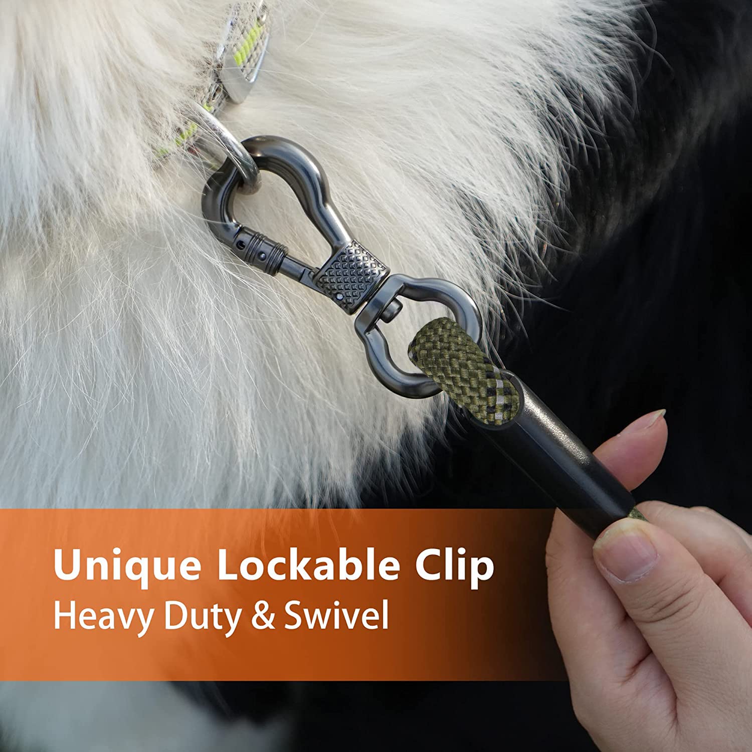 NTR lockable bone-hook leash end for secure connections during activities