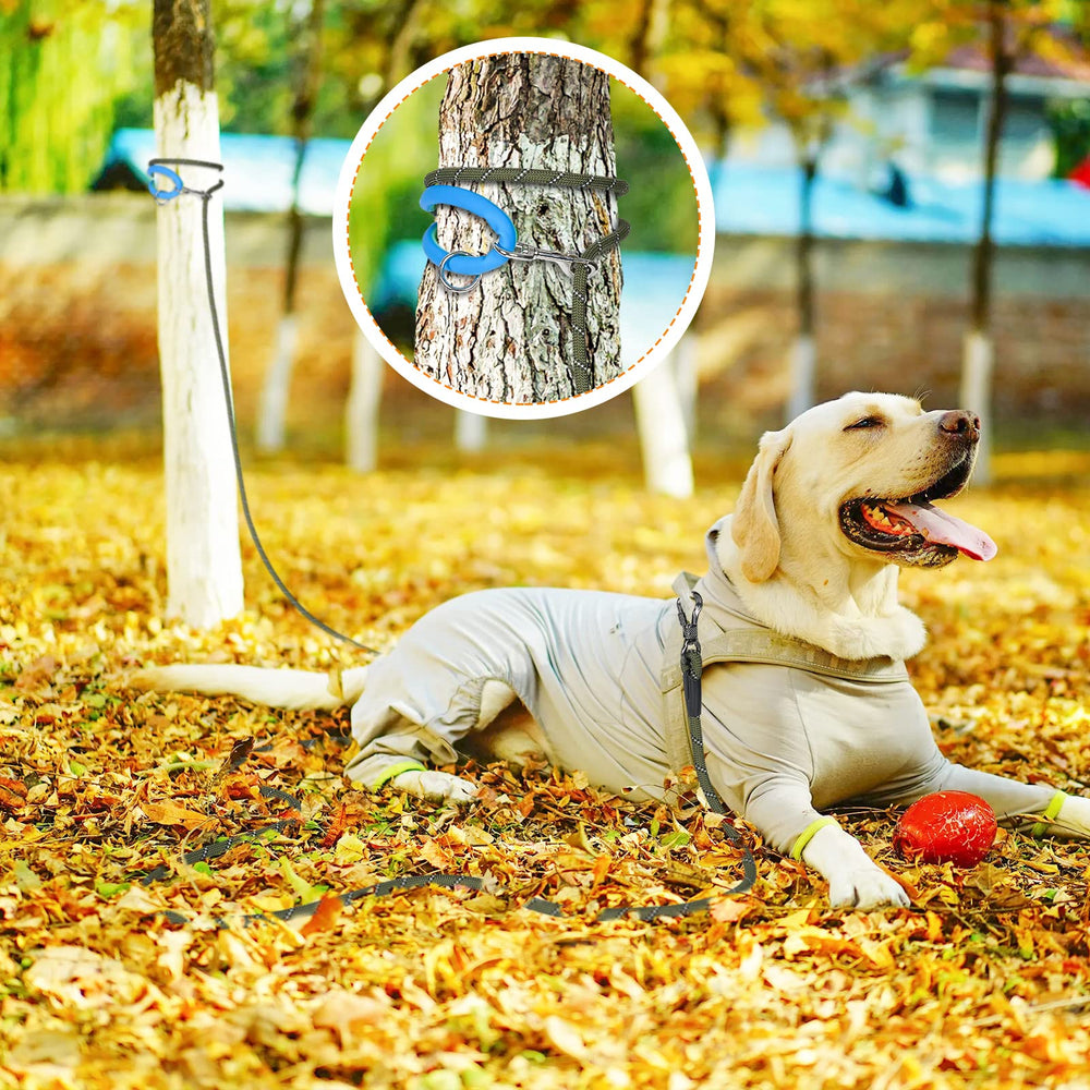 NTR 30-foot leash suitable for hiking, training, and backyard play