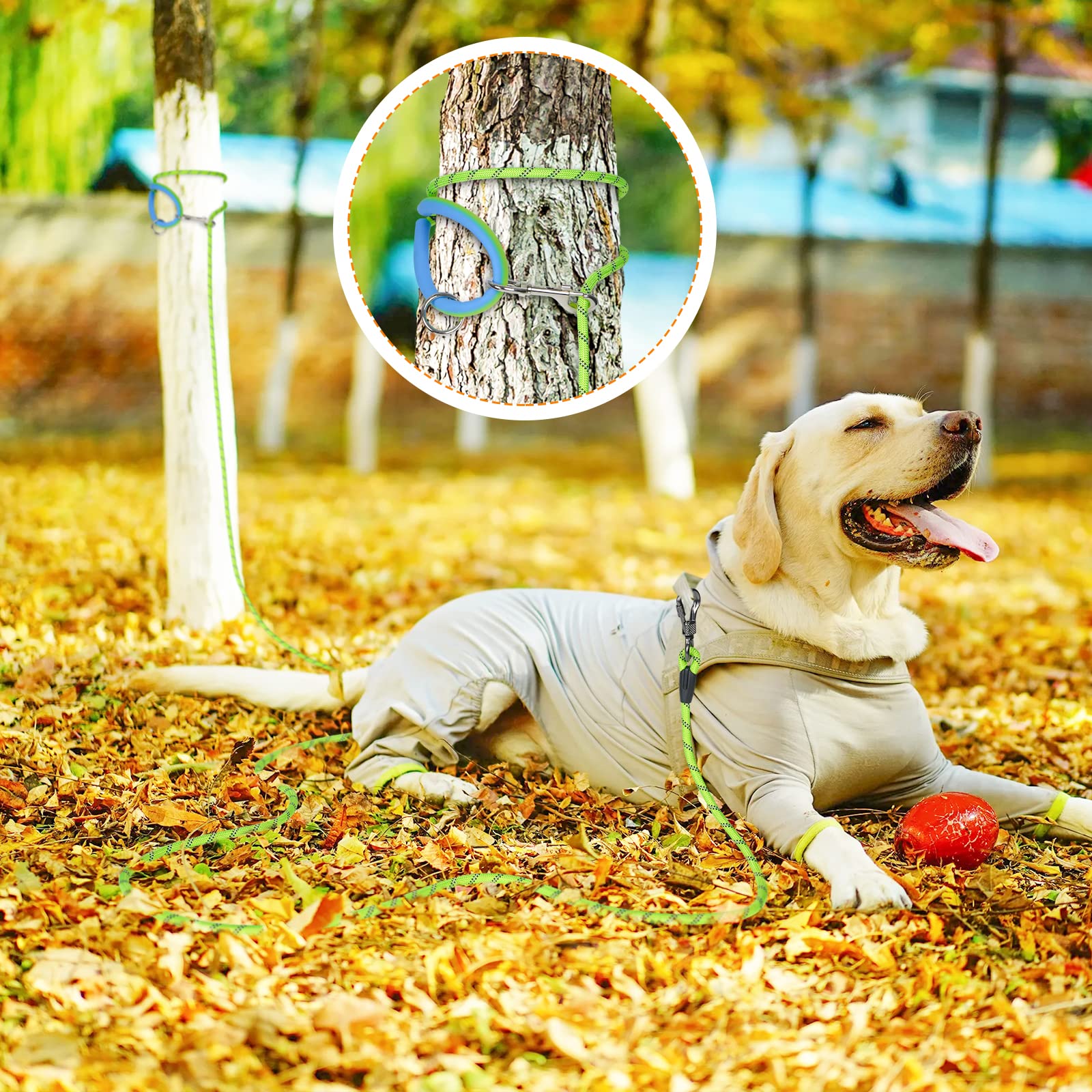 NTR 30ft leash suitable for walking, training, hiking, and camping with dogs