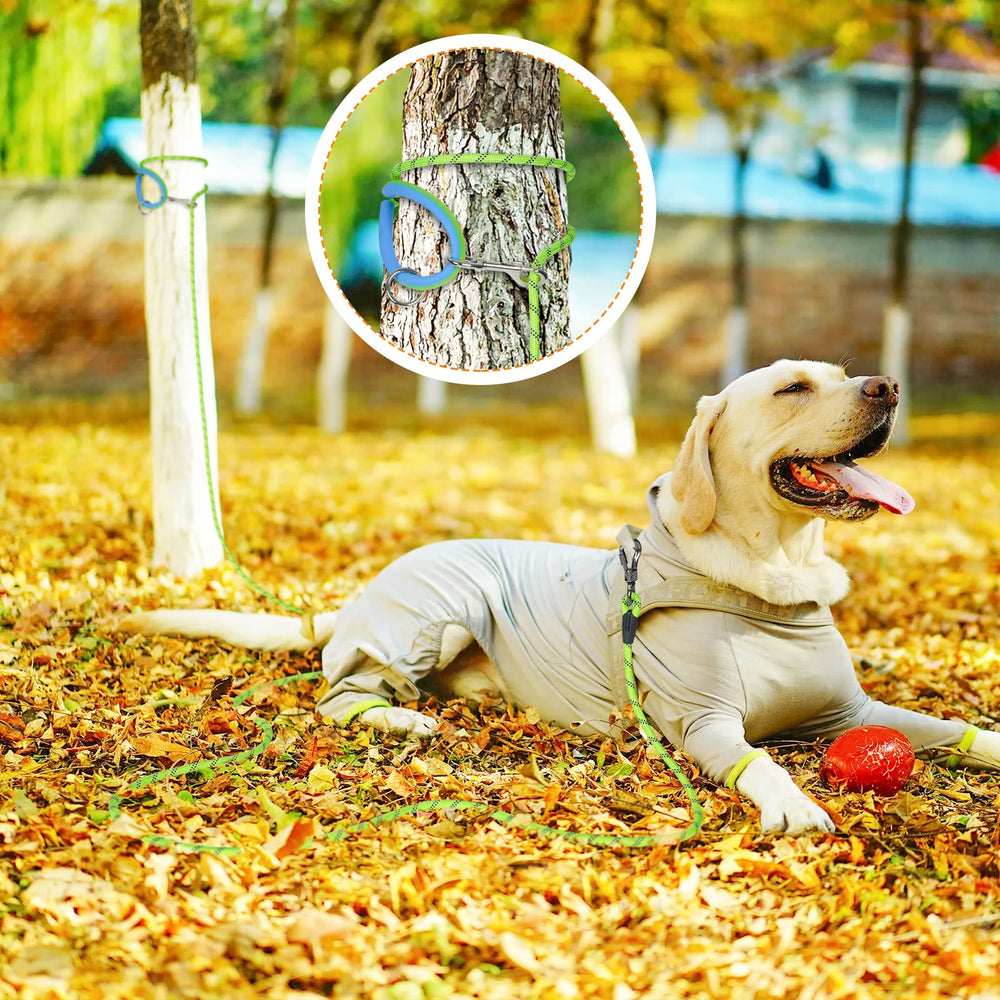 NTR 30ft leash suitable for walking, training, hiking, and camping with dogs