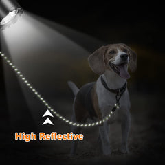 NTR reflective-thread along leash increases night visibility for safer walks
