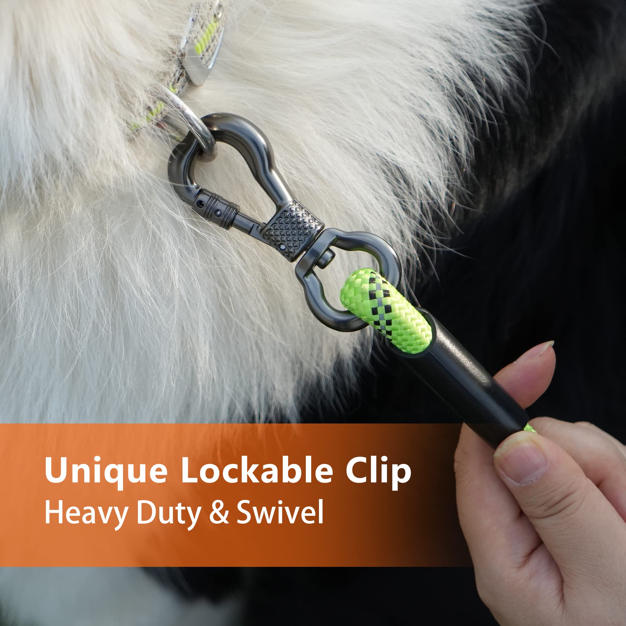 NTR long leash features durable polyester rope for long-lasting use.