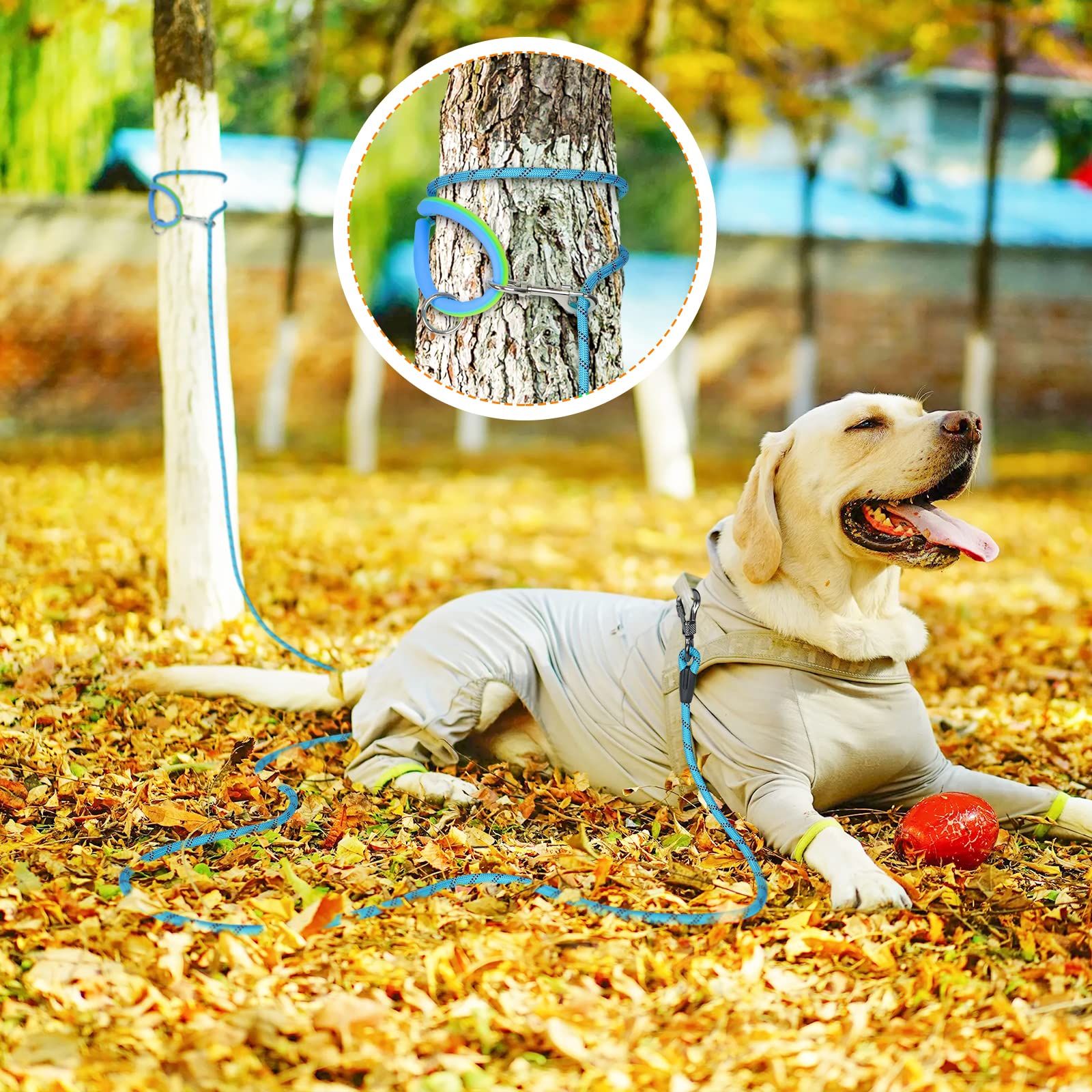 NTR Training Leash available in multiple lengths for activities