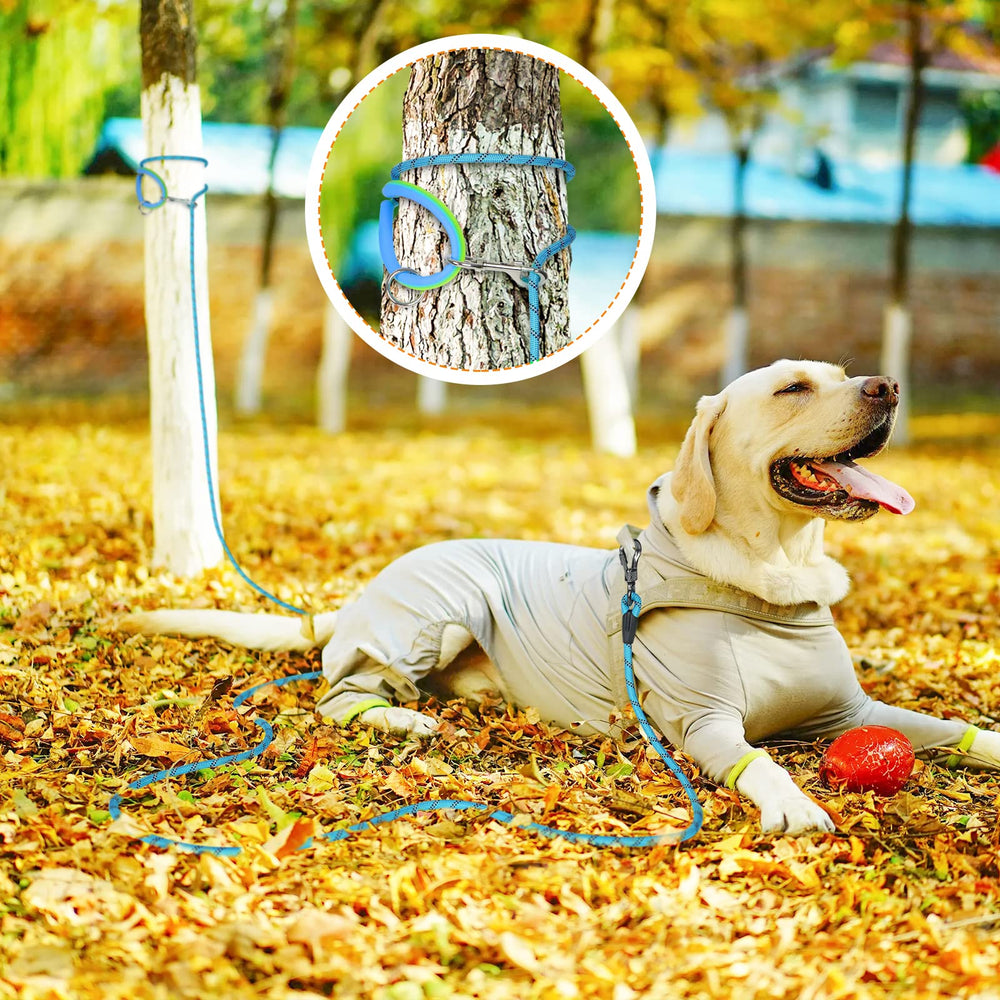 NTR Training Leash available in multiple lengths for activities