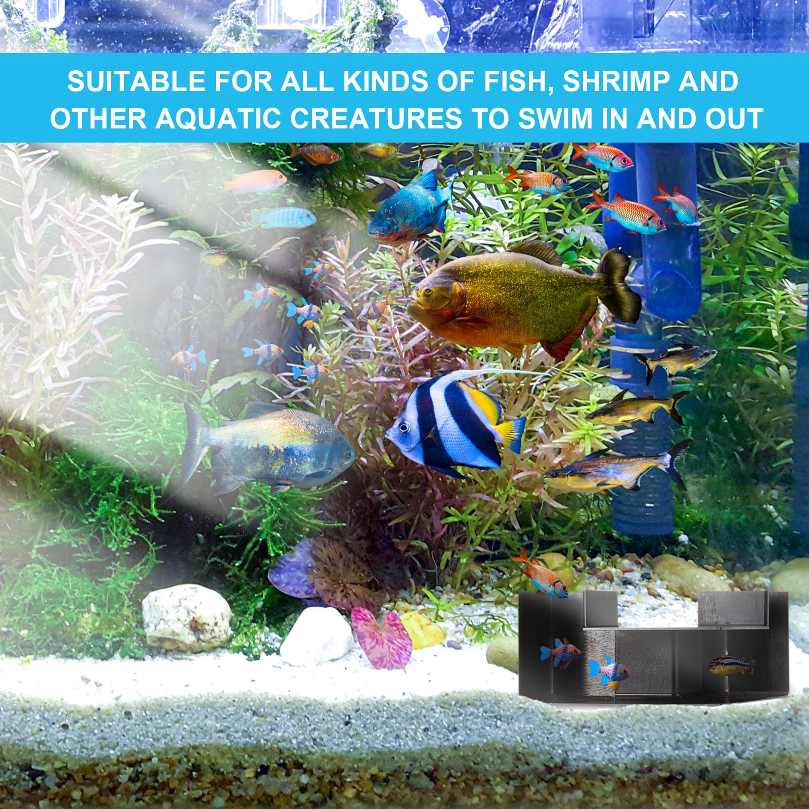 Nuanchu install-ready tunnel placed in aquarium for easy setup.