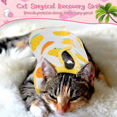 Nuanchu cat recovery suit large size offers roomier back length for active cats