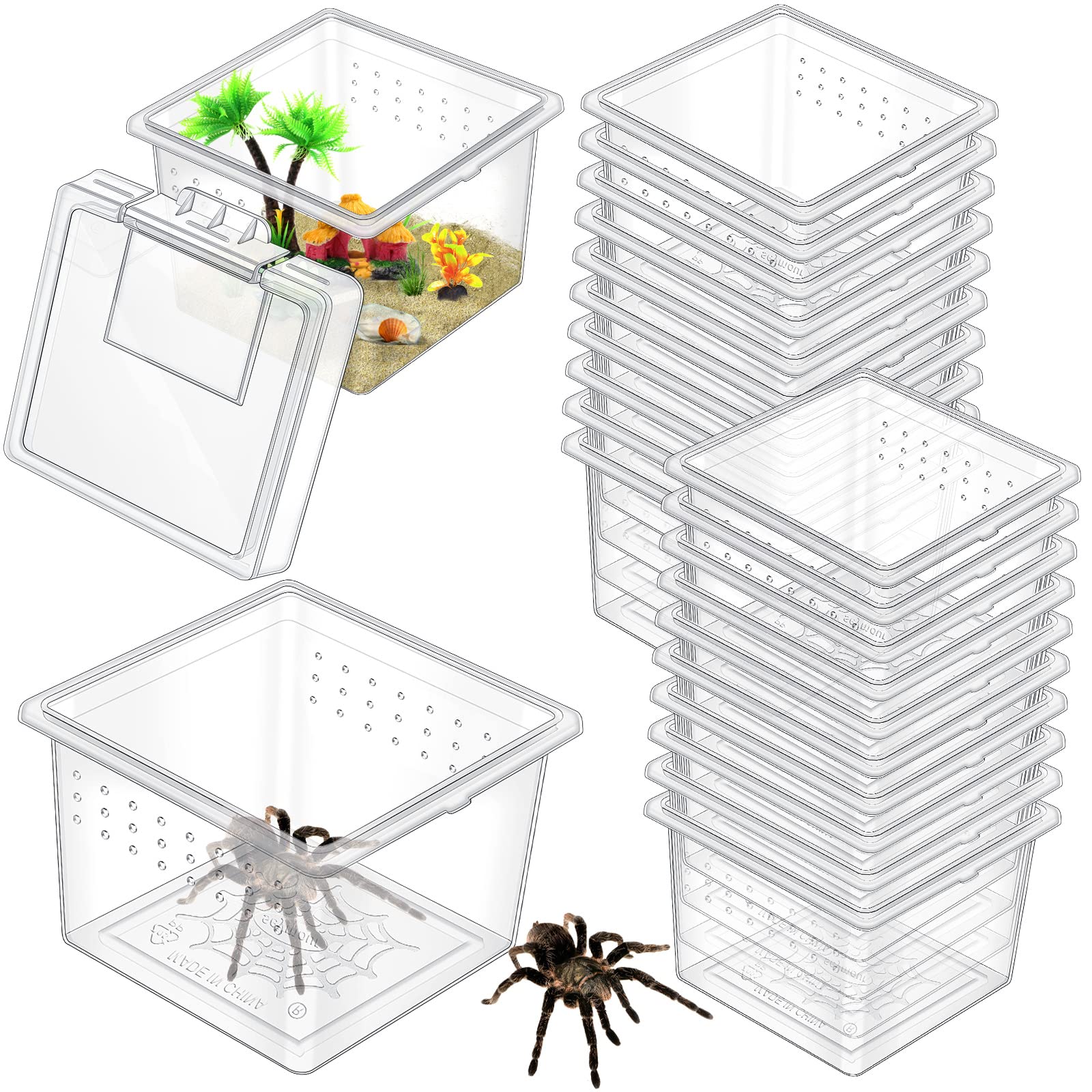 Nuanchu 20-pack insect terrarium boxes in clear plastic for easy viewing
