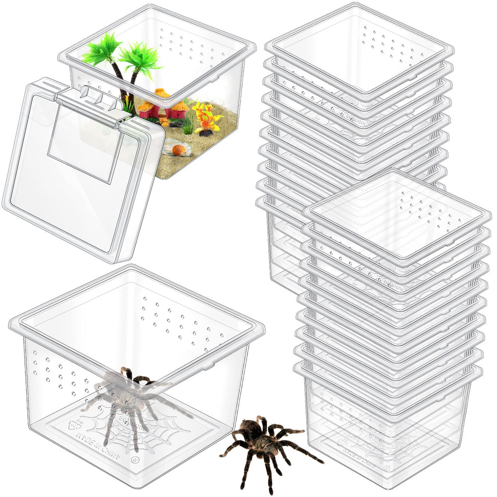 Nuanchu 20-pack insect terrarium boxes in clear plastic for easy viewing
