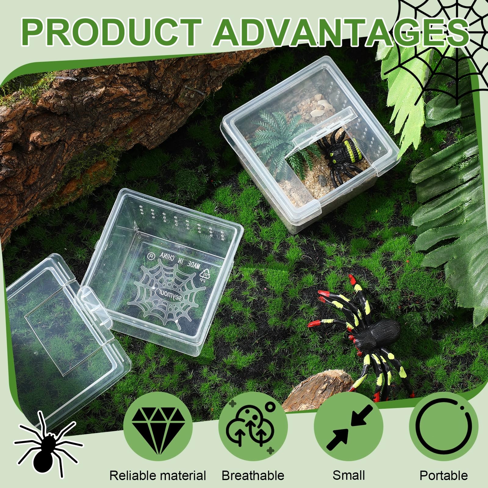 Ventilation holes in Nuanchu terrarium promote airflow in safe enclosures