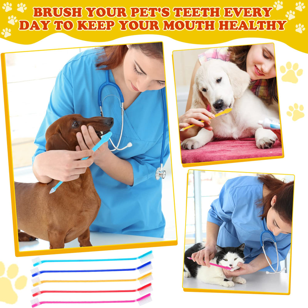 Nuenen large and small brush heads clean incisors and detail areas.
