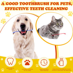 Nuenen soft-bristle toothbrush made of PP material protects enamel while cleaning.