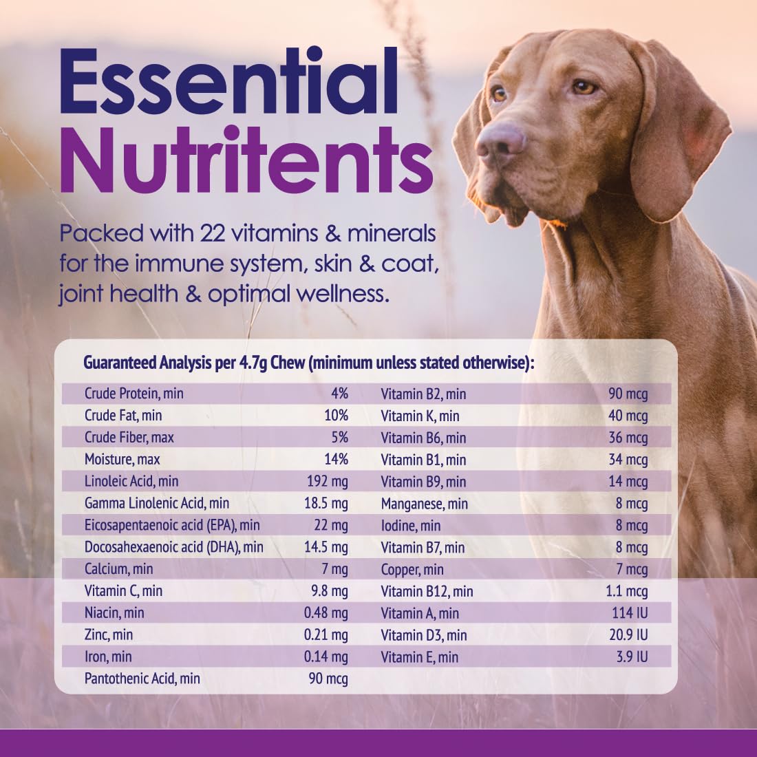 NuLife Beef Flavored Dog Chew for easy daily dosing