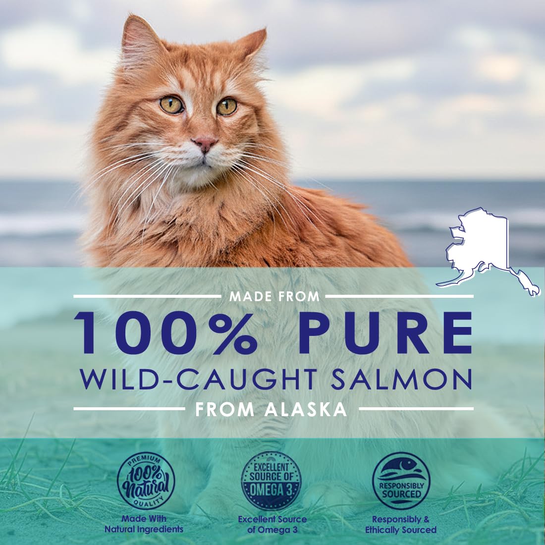 NuLife cat oil measuring cup demonstrates mess-free, precise daily dosing.