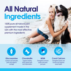 NuLife coral calcium mineral blend supports bone health.