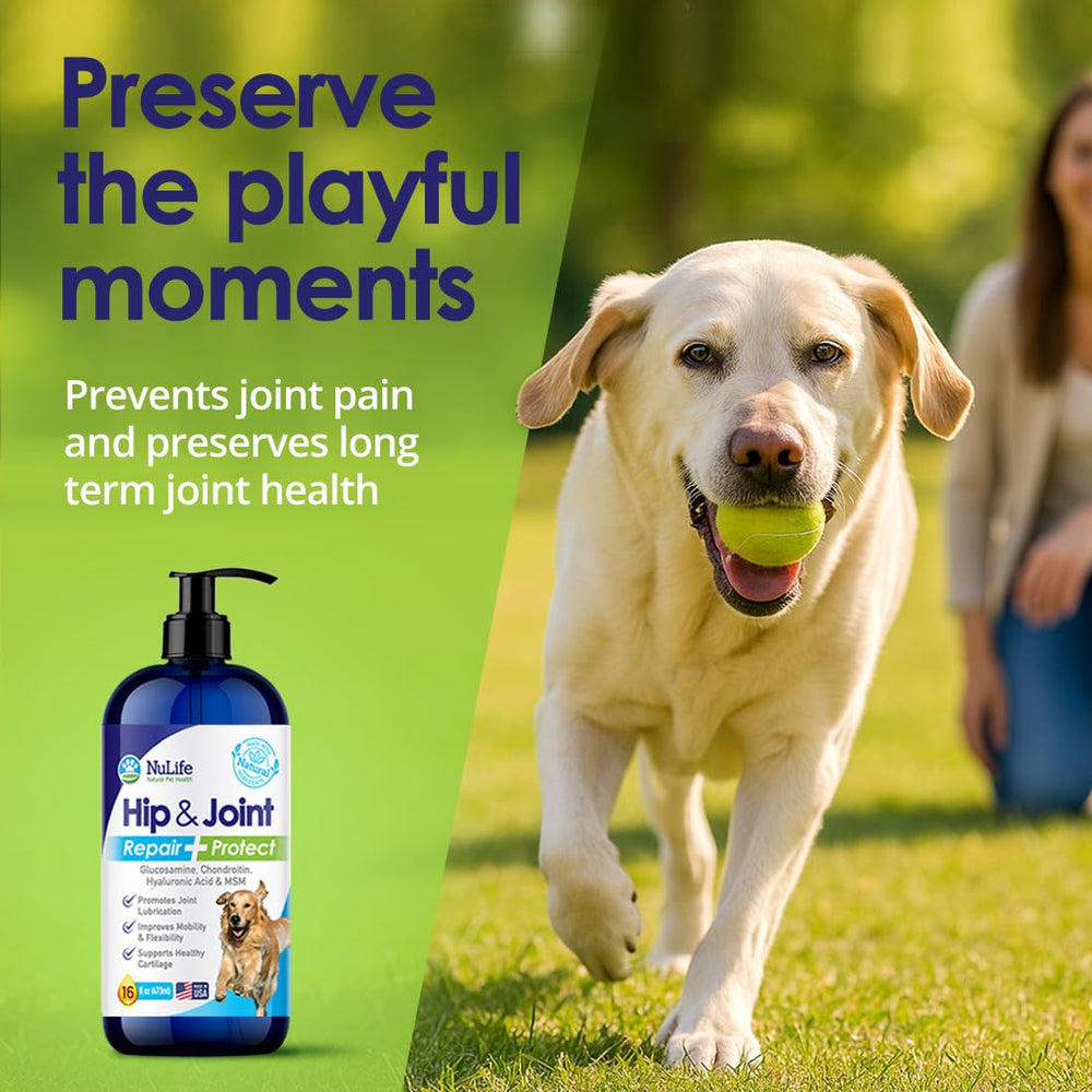NuLife dog joint care formula highlights hyaluronic acid benefits.