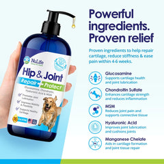 NuLife dog joint supplement bottle label highlighting chondroitin and MSM.