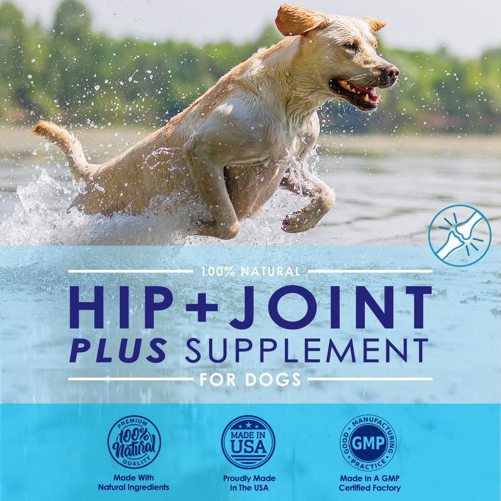 NuLife dog joint support powder sprinkled on food for easy dosing.