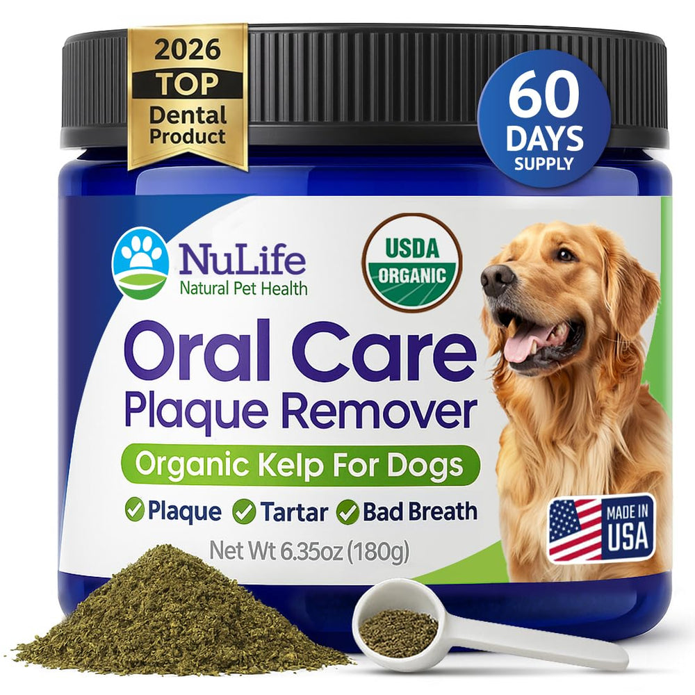 NuLife Dog Teeth Cleaning Powder tub close-up for at-home dental care.
