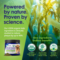NuLife powder sprinkled on dog food to support fresh breath.
