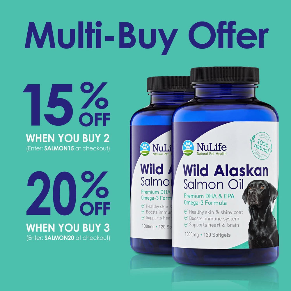 Dog enjoying a meal with NuLife salmon oil mixed in