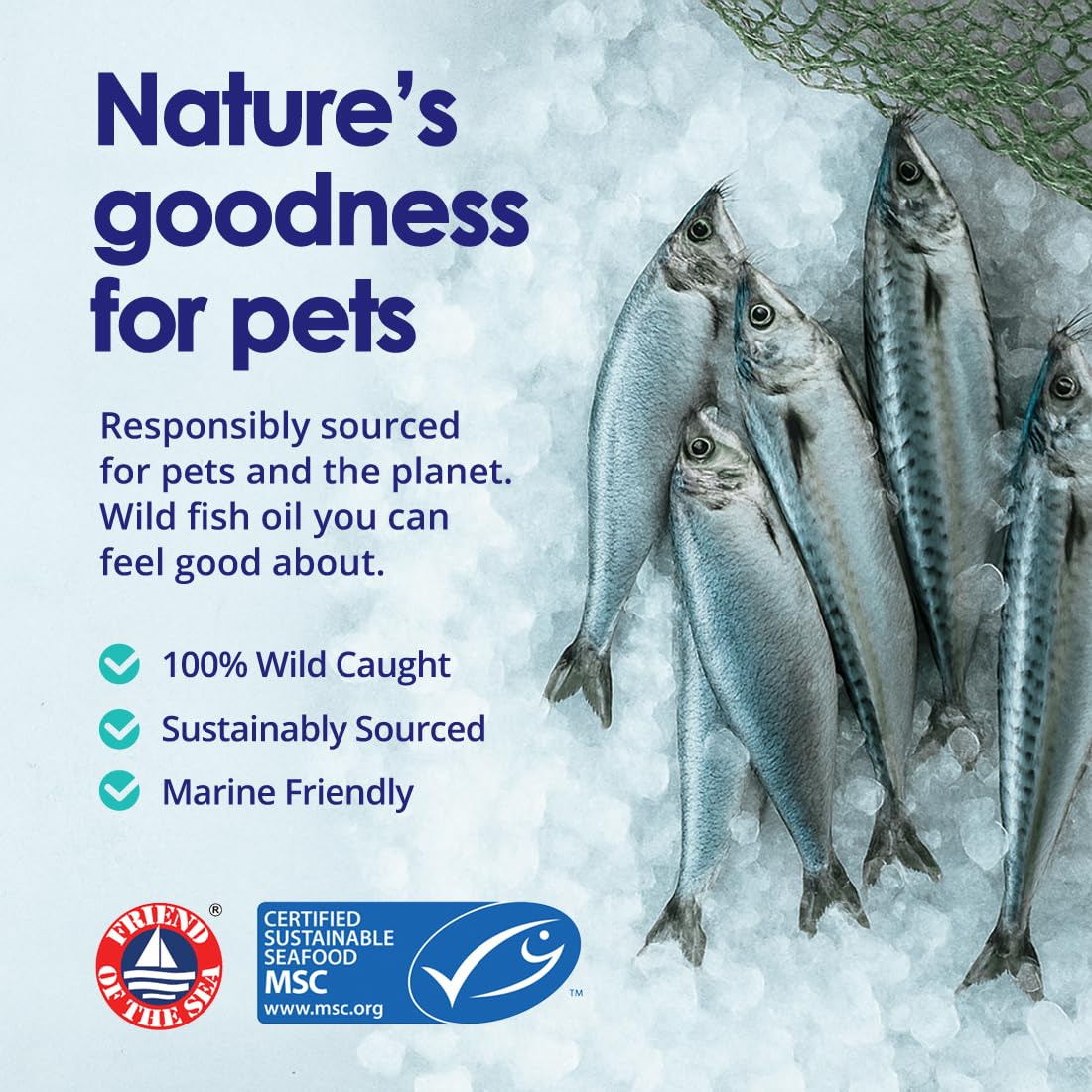 NuLife Liquid Fish Oil for Dogs coat shine image suggests healthy fur texture.